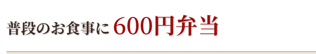 普段のお食事に